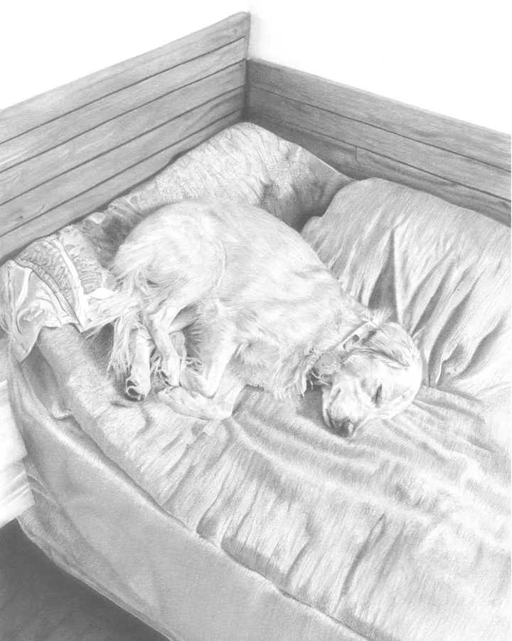 Overhead view of a person curled asleep among softly rumpled white bedding.